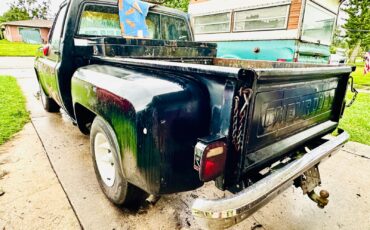 Chevrolet-C-10-1982-1