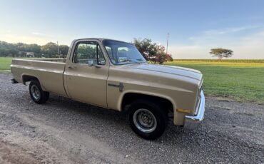 Chevrolet-C-10-1982-1