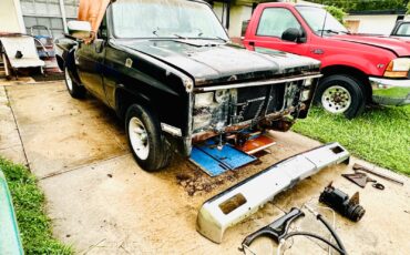 Chevrolet-C-10-1982-10