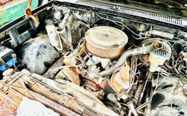 Chevrolet-C-10-1982-11