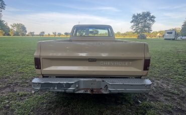 Chevrolet-C-10-1982-12