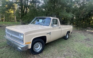 Chevrolet-C-10-1982-13