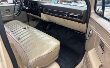Chevrolet-C-10-1982-15