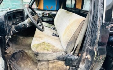 Chevrolet-C-10-1982-16