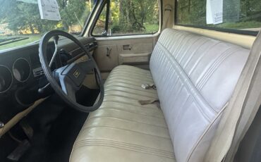 Chevrolet-C-10-1982-16