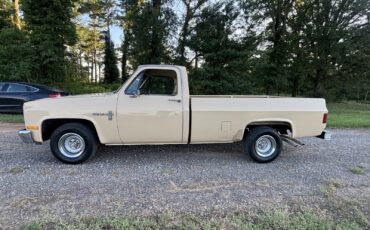 Chevrolet-C-10-1982-2