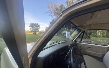 Chevrolet-C-10-1982-21