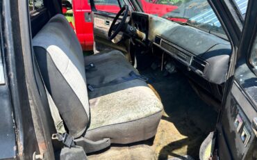 Chevrolet-C-10-1982-22