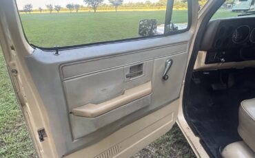 Chevrolet-C-10-1982-26