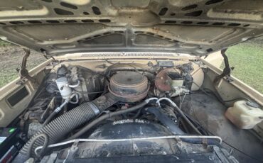 Chevrolet-C-10-1982-28