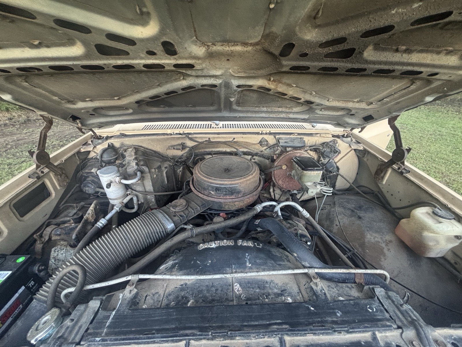 Chevrolet-C-10-1982-29