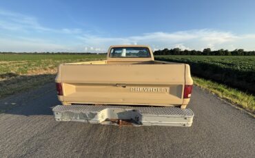 Chevrolet-C-10-1982-3