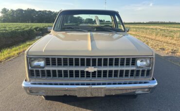 Chevrolet-C-10-1982-4