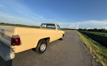 Chevrolet-C-10-1982-5