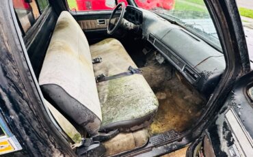 Chevrolet-C-10-1982-6