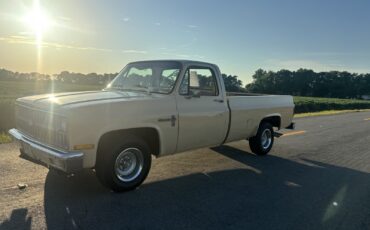 Chevrolet-C-10-1982-6
