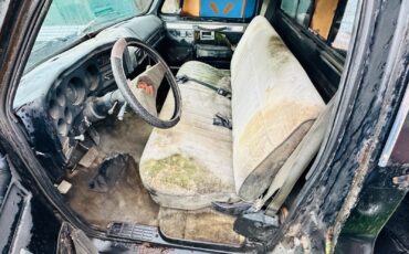 Chevrolet-C-10-1982-7