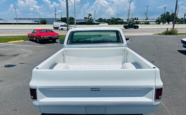 Chevrolet-C-10-1982-Pickup-Truck-4