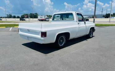 Chevrolet-C-10-1982-Pickup-Truck-5