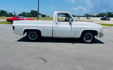 Chevrolet-C-10-1982-Pickup-Truck-6