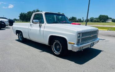 Chevrolet-C-10-1982-Pickup-Truck-7