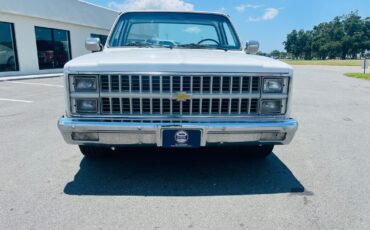 Chevrolet-C-10-1982-Pickup-Truck-8