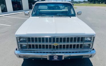 Chevrolet-C-10-1982-Pickup-Truck-9