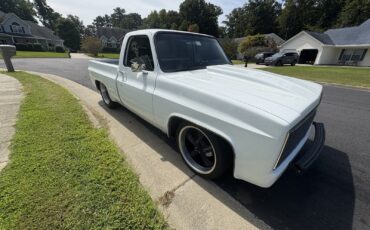 Chevrolet-C-10-1982-Standard-Cab-Pickup-10