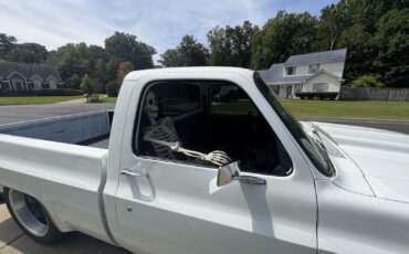 Chevrolet-C-10-1982-Standard-Cab-Pickup-11