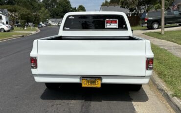 Chevrolet-C-10-1982-Standard-Cab-Pickup-18