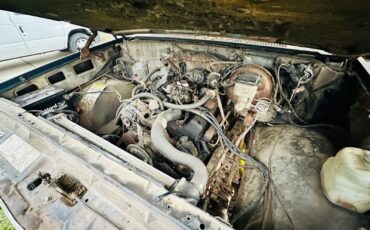 Chevrolet-C-10-1983-19