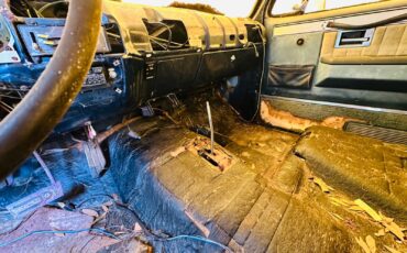 Chevrolet-C-10-1983-23