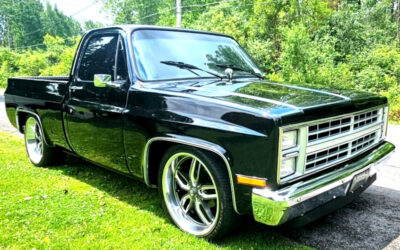 Chevrolet C-10 1987 Standard Cab Pickup