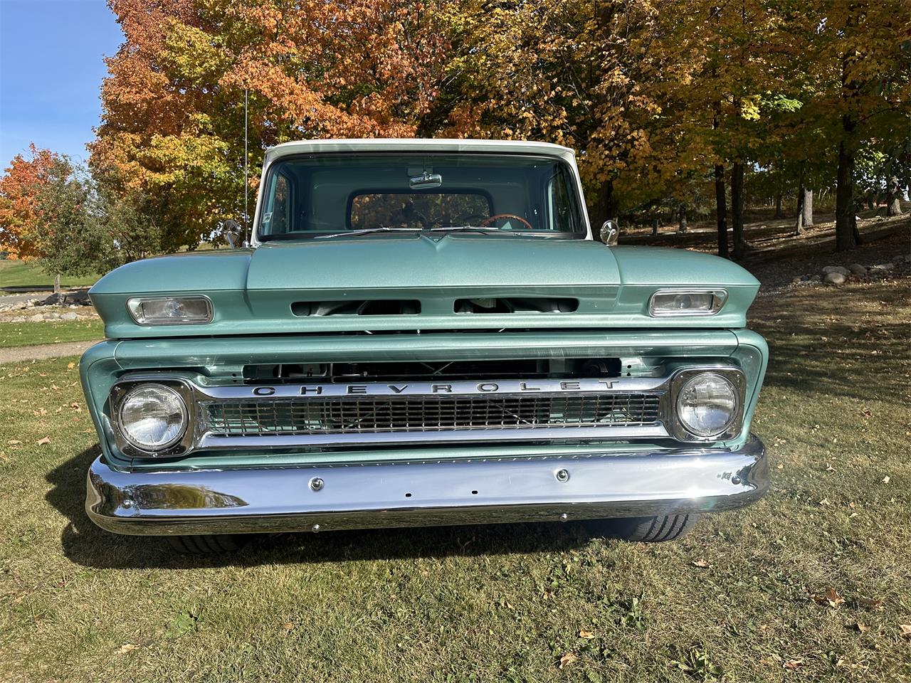 Chevrolet-C10-1964-Green-Green-77
