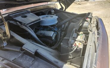 Chevrolet-C10-1964-Root-Bear.-Brand-ne-Black.-All-redone-8