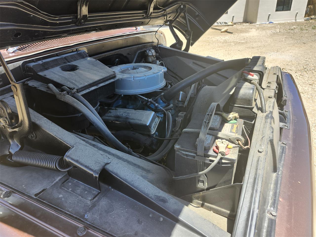 Chevrolet-C10-1964-Root-Bear.-Brand-ne-Black.-All-redone-8