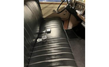 Chevrolet-C10-1966-tan-black-6