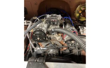 Chevrolet-C10-1966-tan-black-8