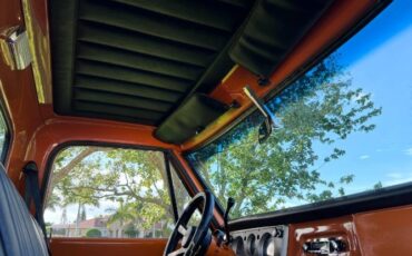 Chevrolet-C10-1967-Custom-12