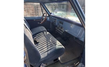 Chevrolet-C10-1968-Blue-Blue-10