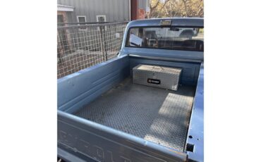 Chevrolet-C10-1968-Blue-Blue-14