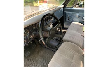 Chevrolet-C10-1969-Gray-4