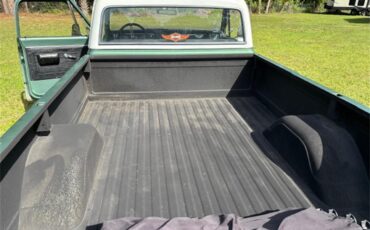 Chevrolet-C10-1969-GreenWhite-Black-1