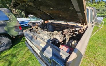 Chevrolet-C10-1980-Custom-1