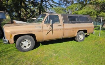 Chevrolet-C10-1980-Custom