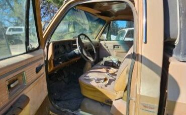 Chevrolet-C10-1980-Custom-4
