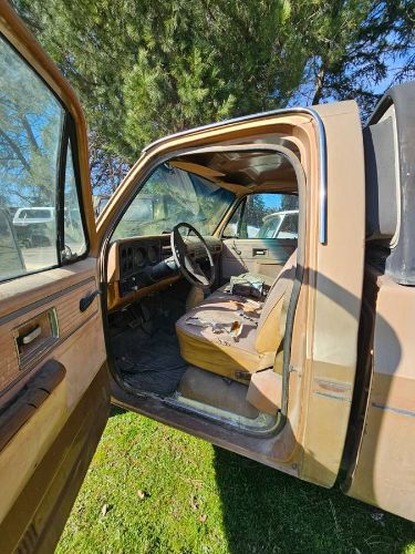 Chevrolet-C10-1980-Custom-4