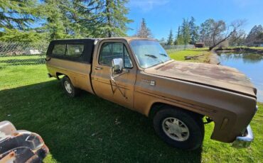 Chevrolet-C10-1980-Custom-5