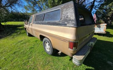 Chevrolet-C10-1980-Custom-6
