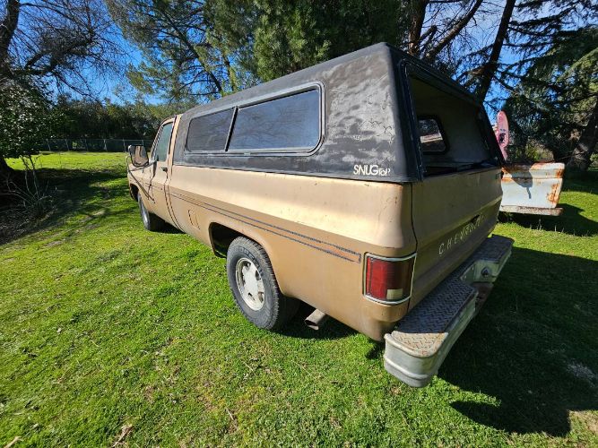 Chevrolet-C10-1980-Custom-6